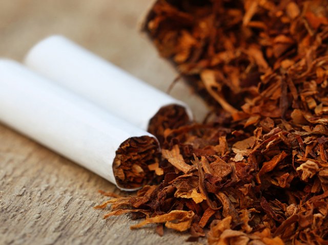 Эксперты рассказали о необычной пользе табака